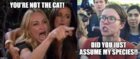 your not the cat.jpg