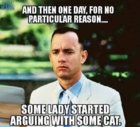 arguing with some cat.jpg