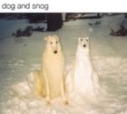 dog snog.jpg