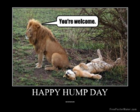happy hump day.png