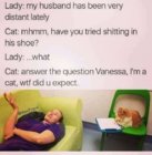 i'm a cat.jpg