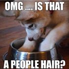 people hair.jpg
