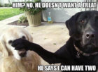 him no.jpg