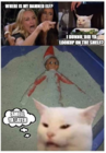 look on the shelf.png