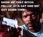 bitch yelling at the cat.jpg