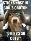 ruff-day-meme-3.jpg