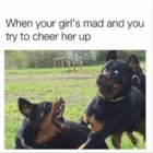 Angry-Dog-Meme-When-your-girls-mad-and-you-try-to-cheer-her-up.jpg
