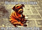 brave dog.jpg