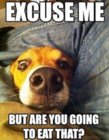 Excuse-Me-600x765_large.jpg