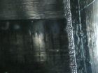 IMG110101-000726F.JPG