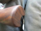 Fore Arm.jpg