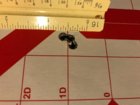 thumbnail (1).jpg