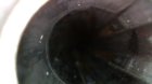 throat8.jpg