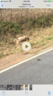 8D1EF79F-7234-4431-82C3-20F6DF1209B4.png
