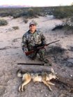 BR Coyote 2.jpg
