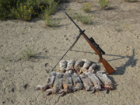 cottontails + Rem 541S LBB.JPG