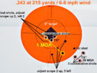 243-2.jpg