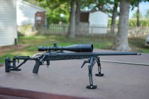 gun_zps66a708ba.jpg