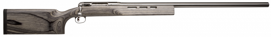 Savage 12 F Class.png