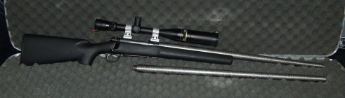 DSC_1345.JPG