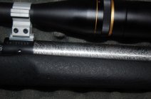 DSC_1346.JPG
