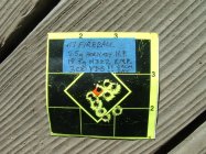 DSCF0048.JPG