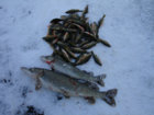 DSC01575.JPG