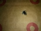 IMG_20200124_162909.jpg