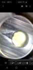 Screenshot_20200206-221254_Gallery.jpg