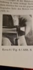 Fig 6.jpg