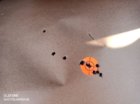 22 fireball 1.jpg 22 fireball 1.jpg