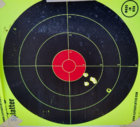 Best-55Berg-3100fps-300yds.jpg Best-55Berg-3100fps-300yds.jpg