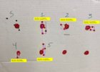 Target with Measurements.JPG