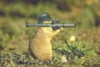 Prairebazooka.jpg