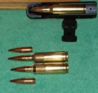 Tikka 300WSM.jpg