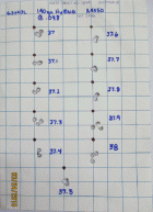 140 Hybrid @.1gr.GIF