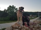 2017-06-10 20.37.16.jpg