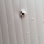 Shot Hole.jpg