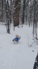 IMG-20200213-WA0000.jpg