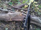 squirrel eyeball.jpg