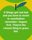 FB_IMG_1584620990067.jpg