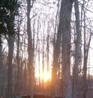 IMG_20200322_071927630.jpg