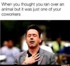 bFM70Jy_d.jpg