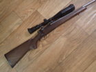 223 M7.JPG