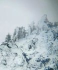 thumbnail (96).jpg