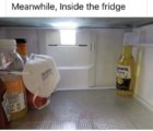 packaged-goods-meanwhile-inside-fridge-orona-extra-3m-9502.jpeg