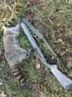 coon11-23-2.jpg