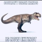 85B81F7C-30C4-487E-B3C6-3C09E28B2995.jpeg