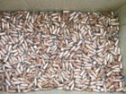bullets.jpg
