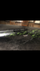 A231170A-3A31-45BD-9E97-389142A00A0C.png